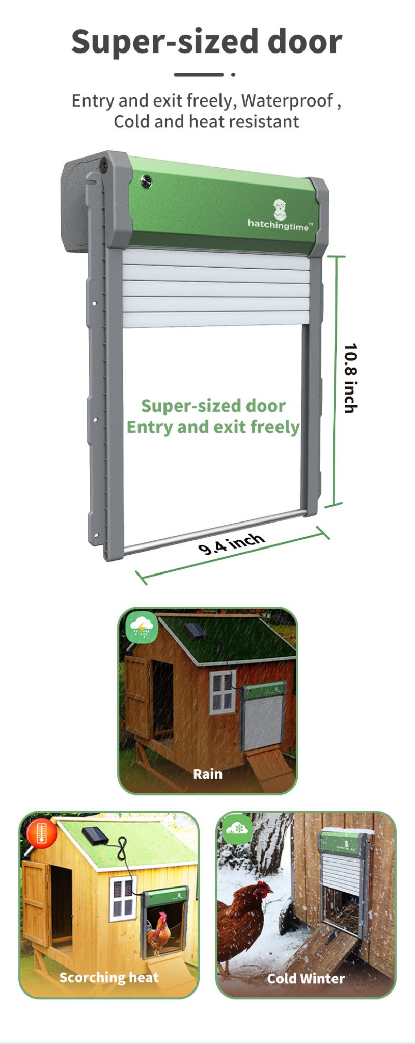 Hatching Time. Infographic shows super-sized door for easy and comfortable entry and exit for chickens. Safe for use in rain, heat and cold winter.