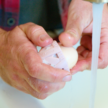 Good Egg Stuff Flock Essentials Pack