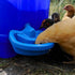 Hatching Time Maxicup. Automatic poultry waterer can be seen in image being used by 4 chickens.