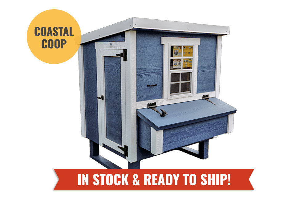 Chicken Coop - Medium (Up to 10 Chickens)