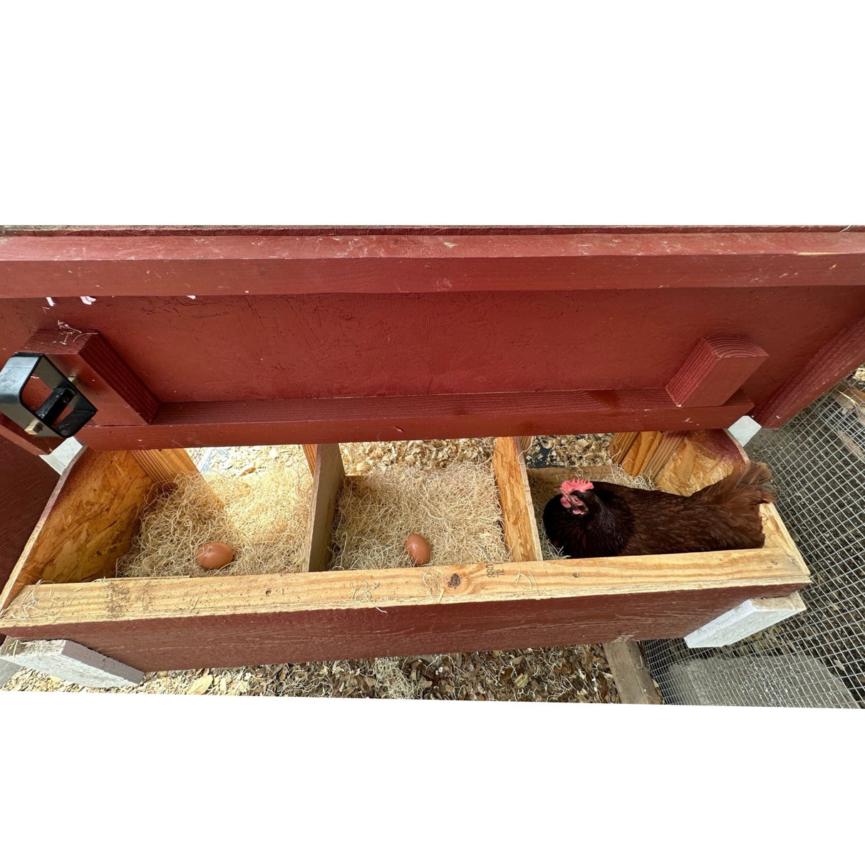 Chicken Coop - Medium (Up to 10 Chickens)
