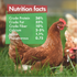 Hatching Time Grub Terra. Black Soldier Fly Larvae.  Nutrition facts chart can be seen next to chicken standing in grass.