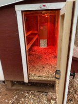 Hatching Time OverEZ. Automatic coop door opener can be seen in image inside of chicken coop.