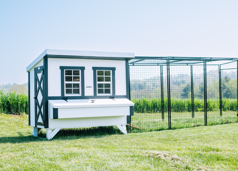 Chicken Coop - Large (Up to 15 Chickens)