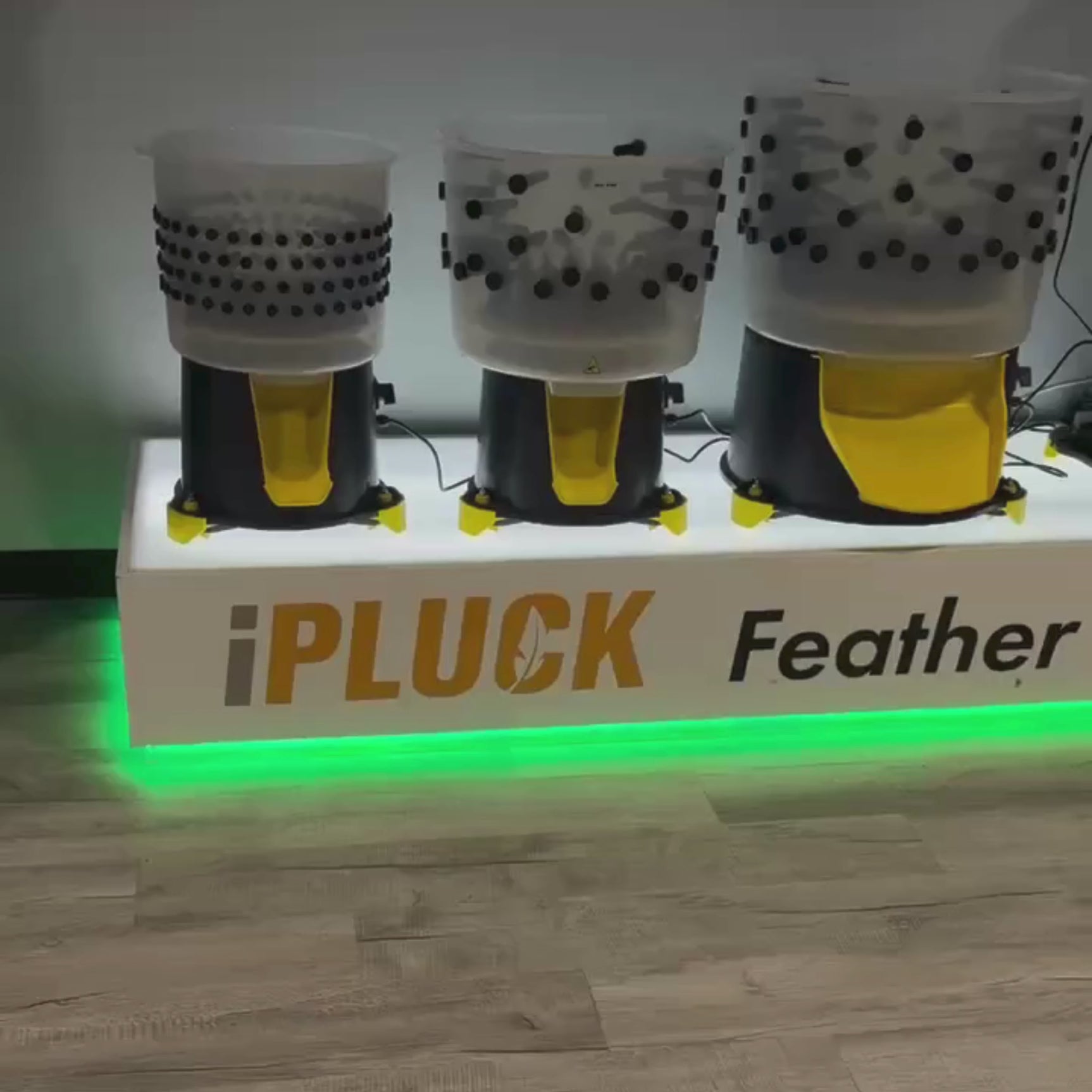 Hatching Time. Feather pluckers can be seen on stand and turned on and spinning natural rubber fingers in front of TV with ipluck technology shown.