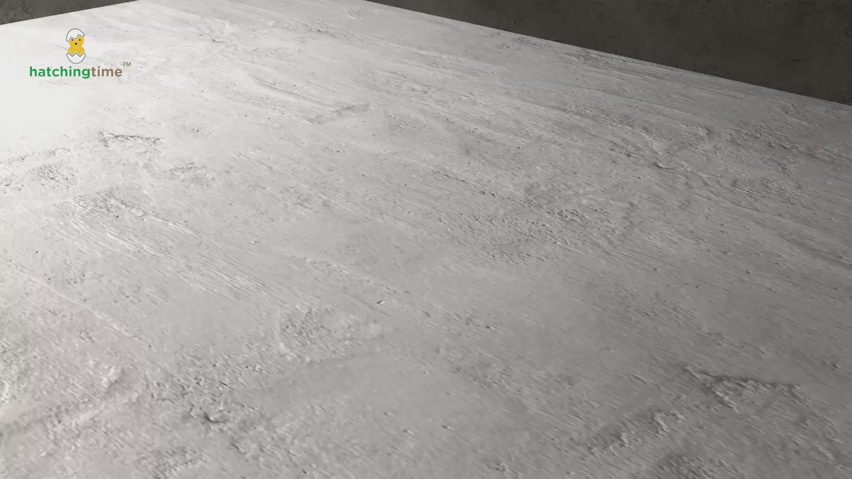 EggHouse Galvanized Nesting Box (Up to 30 Birds)