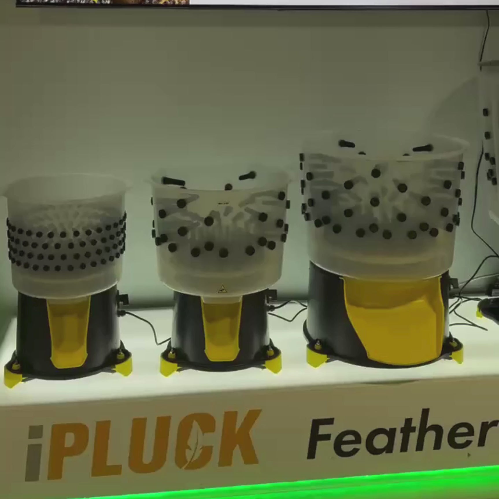 Hatching Time. Feather pluckers can be seen on iPluck stand.