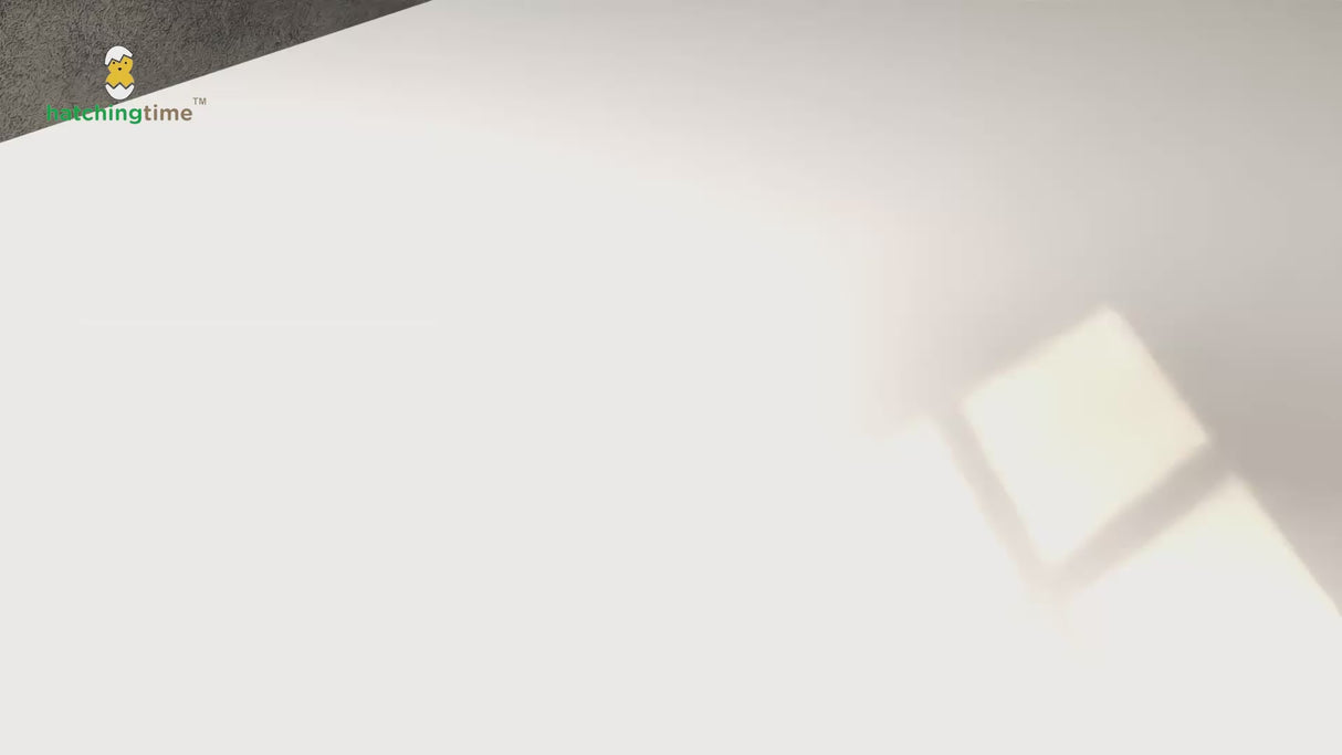 EggHouse Galvanized Nesting Box (Up to 10 Birds)