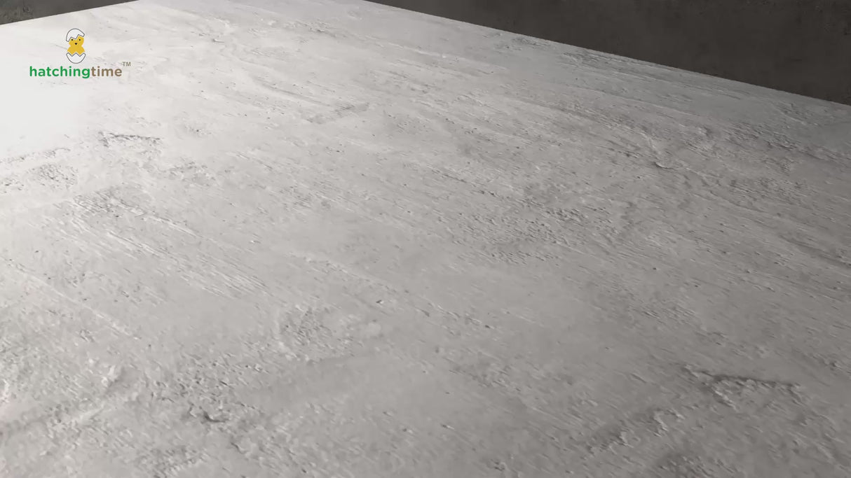 EggHouse Galvanized Nesting Box (Up to 20 Birds)