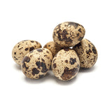 Hatching Eggs: Quail (Coturnix Jumbo)