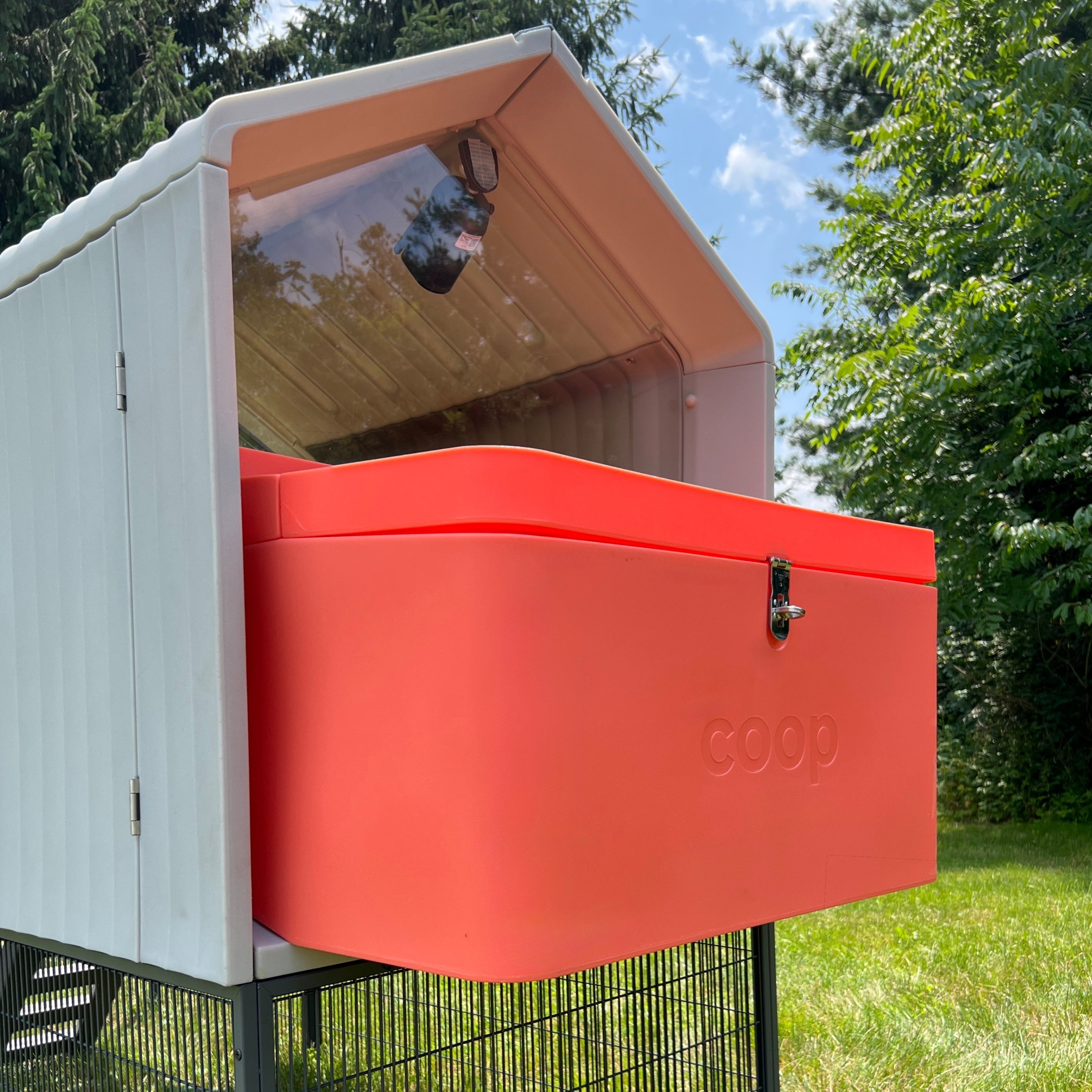Smart Chicken Coop (8 Hens) w/ Camera & Auto Door | Hatching Time