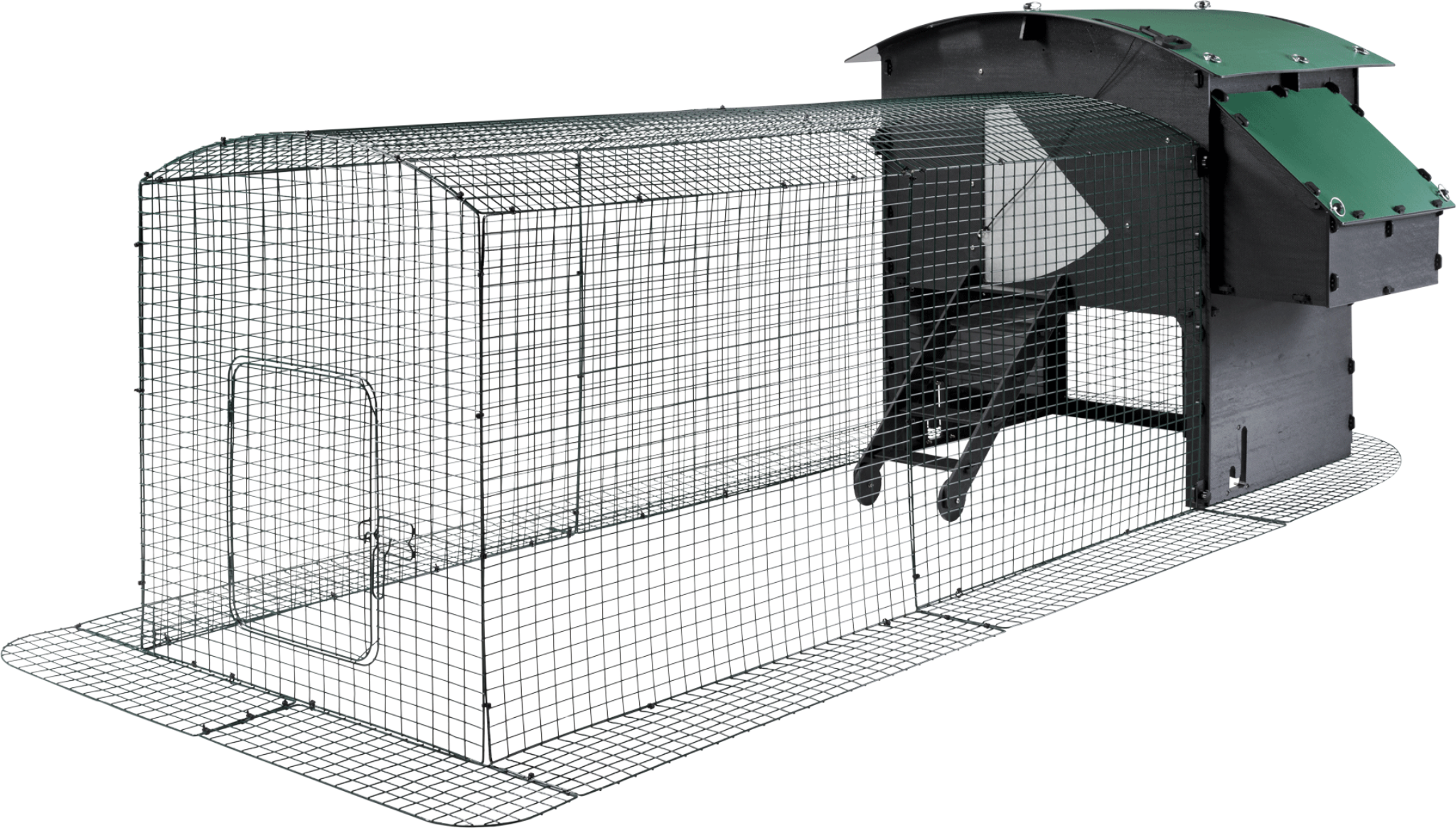 Hatching Time Nestera. Large chicken run extension can be seen connected to large raised chicken coop.