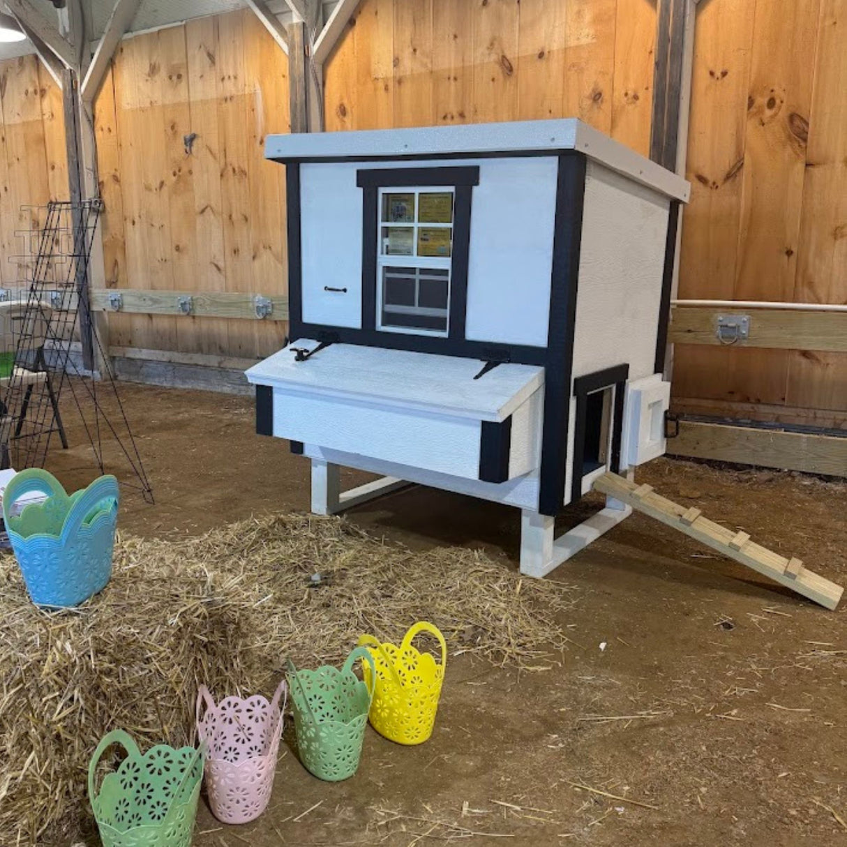 Chicken Coop - Medium (Up to 10 Chickens)