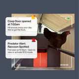 Chicken in a coop with digital alerts on a screen