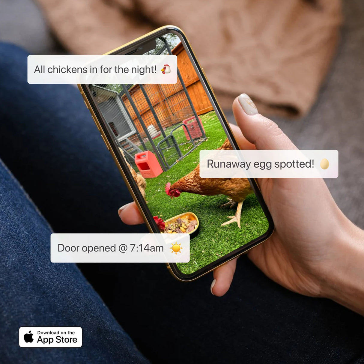 Person holding a smartphone with a chicken farm app showing a rooster and text notifications for Hatching Time Smart Coop.