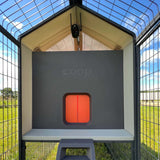 Hatching Time Smart Coop. Interior of chicken run can be seen facing chicken coop entrance