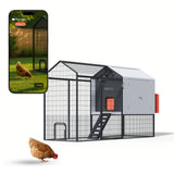Hatching Time Smart Coop Chicken coop with smartphone displaying a live camera view of a chicken in a garden