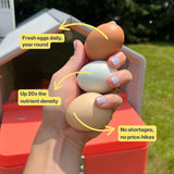 Hand holding three eggs with text about freshness, nutrition, and pricing.