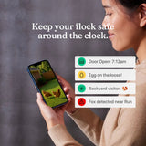 Person holding a smartphone with Hatching Time Coop Camera app notifications about farm animals, against a gray background.