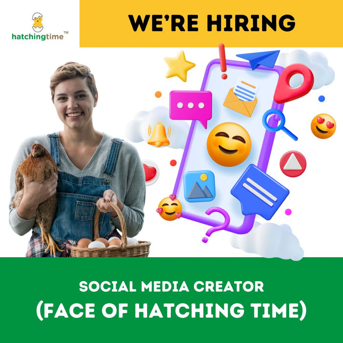 social media creator job position