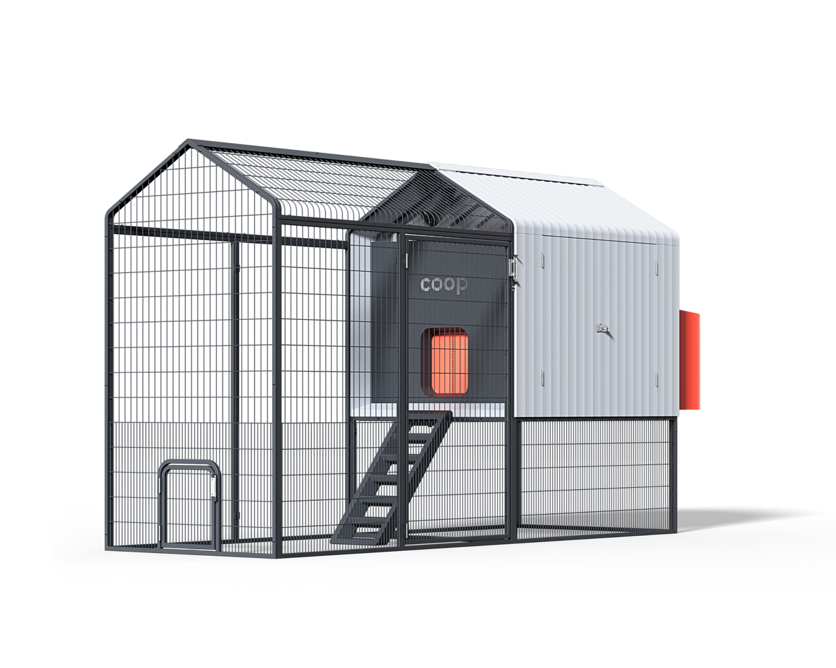 Steel chicken coop run extension for backyard poultry housing