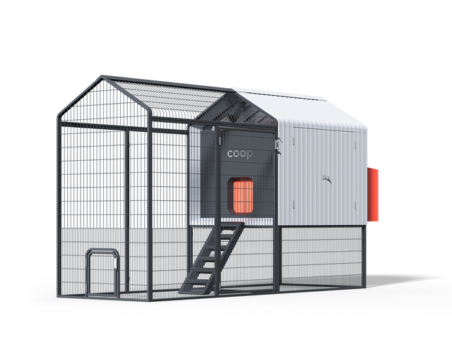 Steel chicken coop run extension for backyard poultry housing