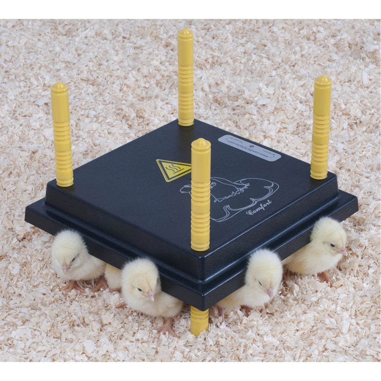 Hatching Time. Heating plate can be seen in use. There are 4 chicks sitting under it for warmth.