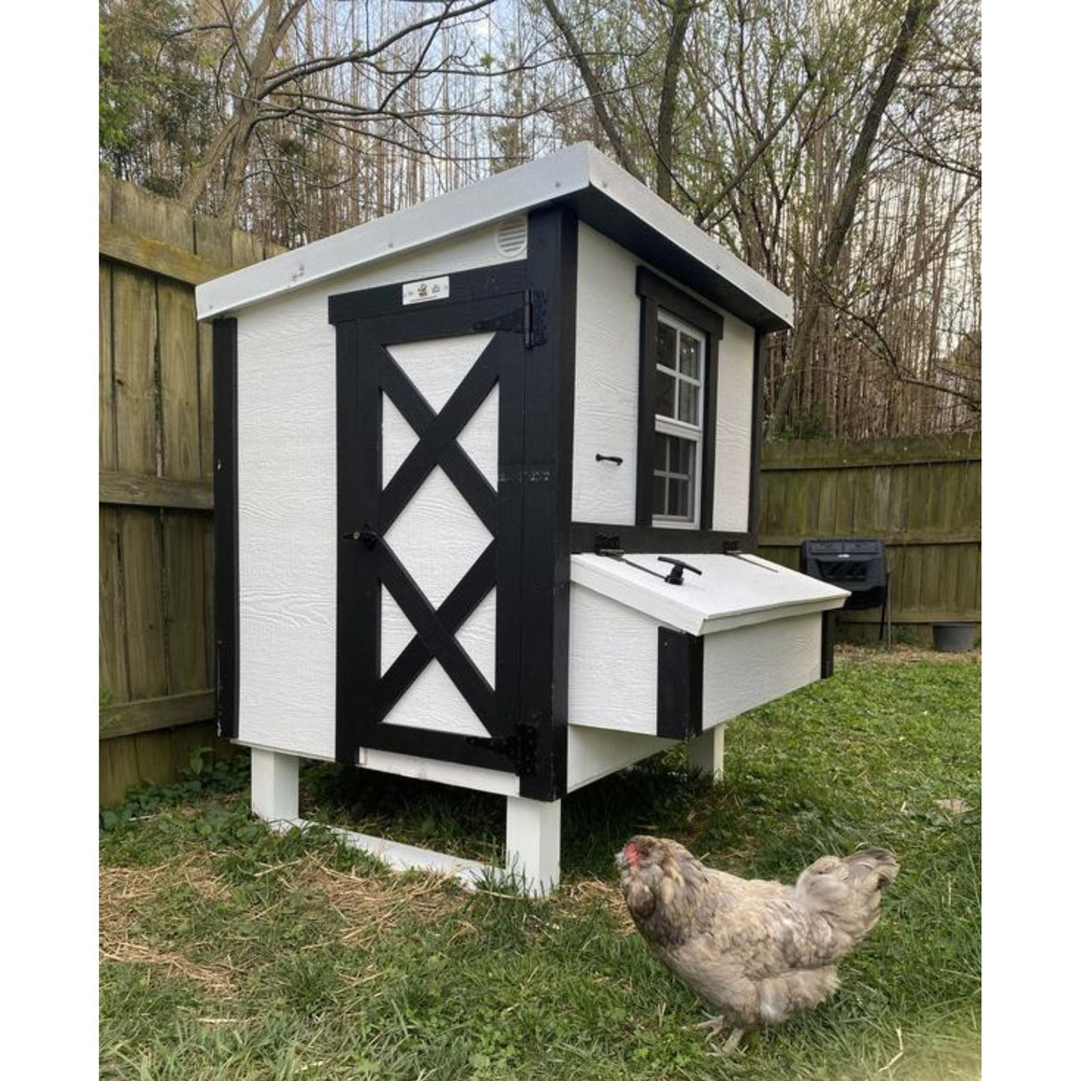 Chicken Coop - Medium (Up to 10 Chickens)