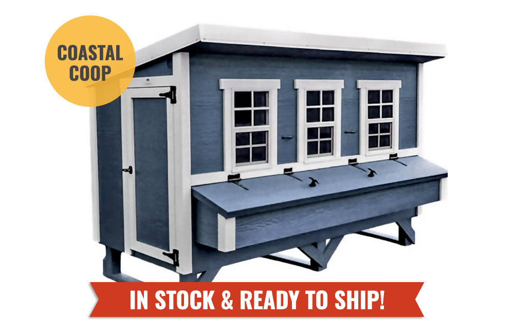 Chicken Coop - X-Large - (Up to 20 Chickens)