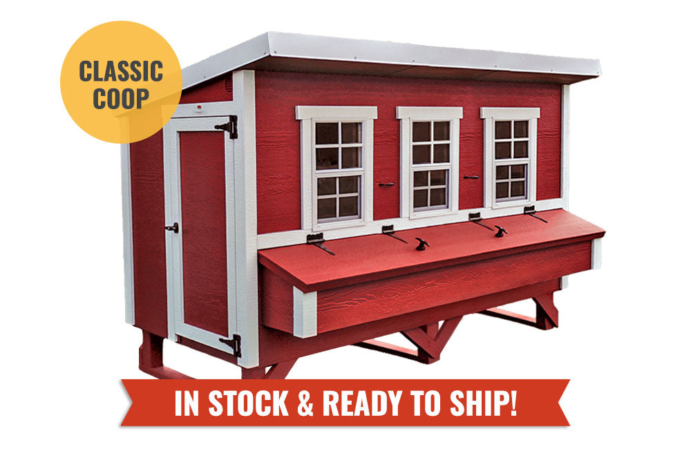 Chicken Coop - X-Large - (Up to 20 Chickens)