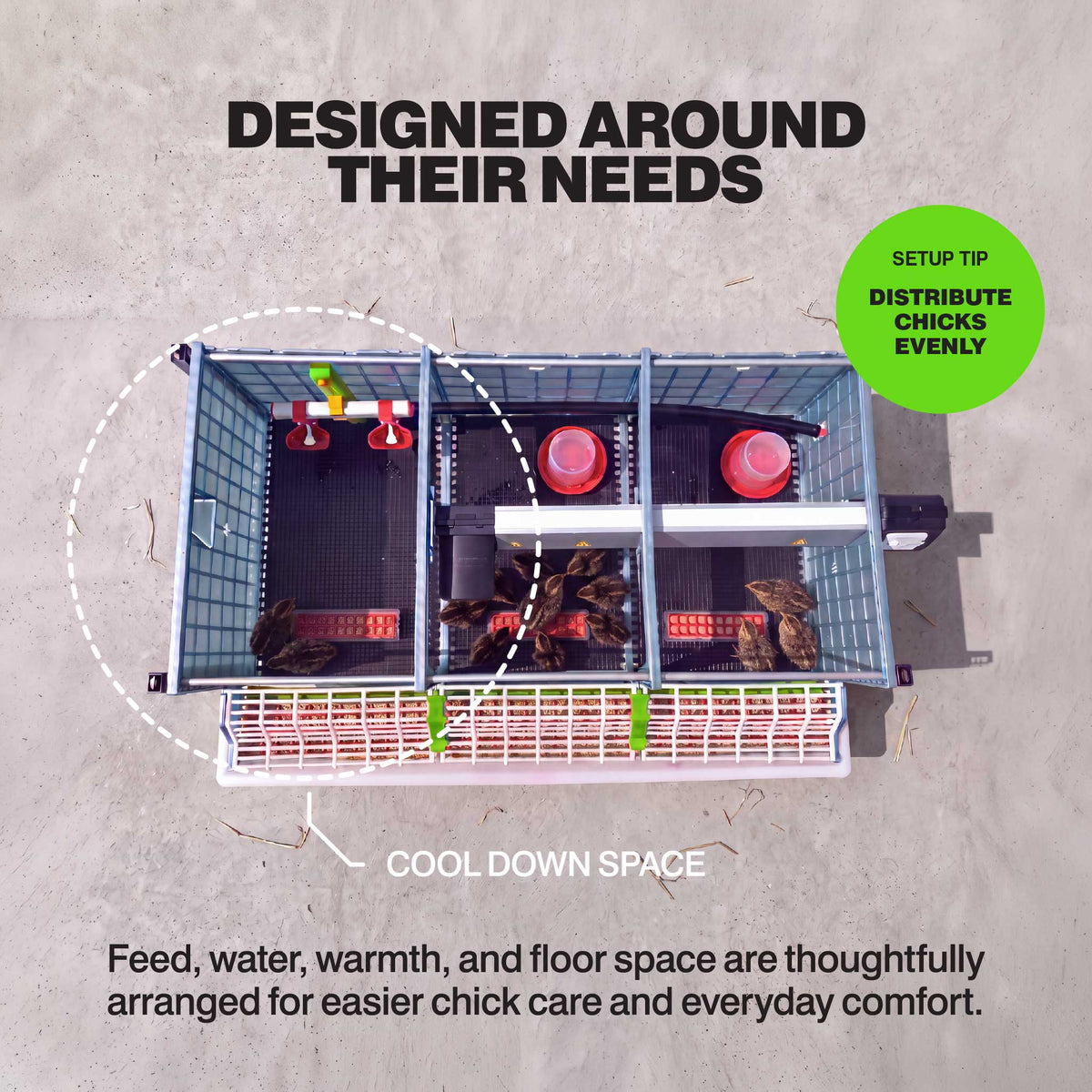 Chick Brooder - 3 Layer H: 9.5"