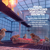 Chick Brooder - 3 Layer H: 9.5"