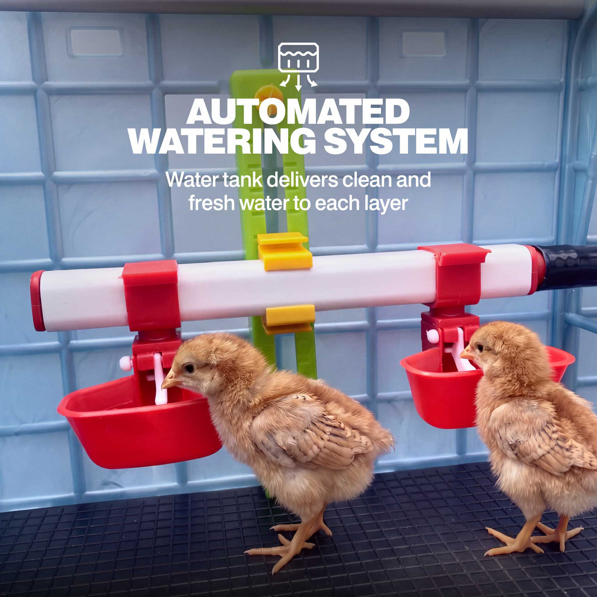 Chick Brooder - H:9.5" Double Layer Addition