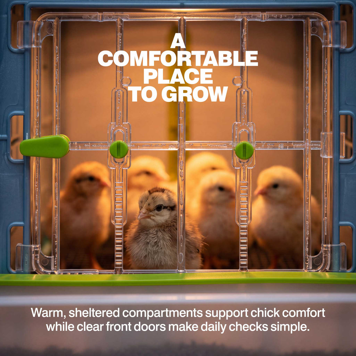 Chick Brooder - 2 Layer H: 15"