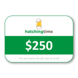 $250 Gift Card for Hatching Time