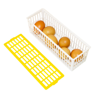 Egg Basket - 6 Eggs - Hatching Time