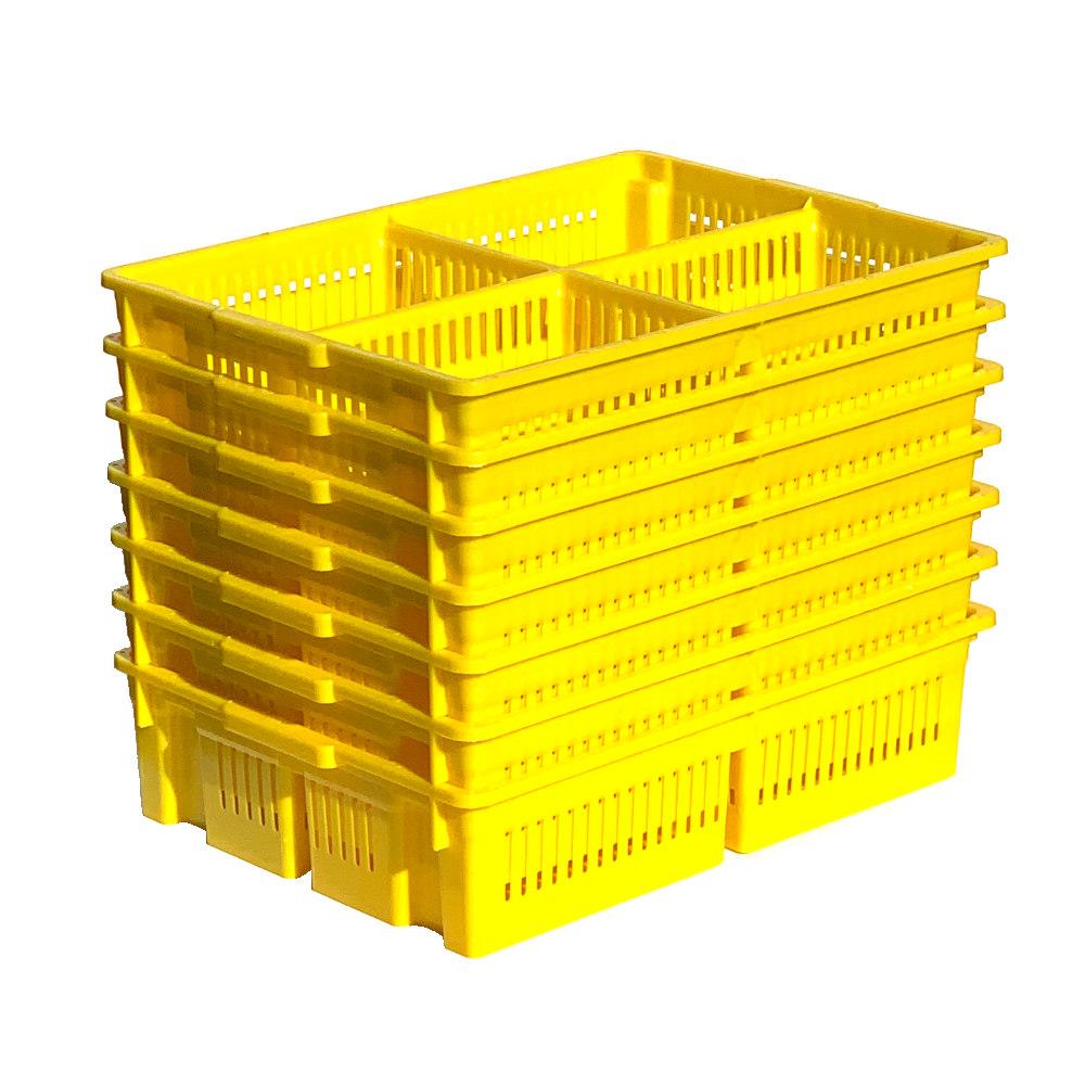 Stackable Chick Basket with 4 Sections - Hatching Time