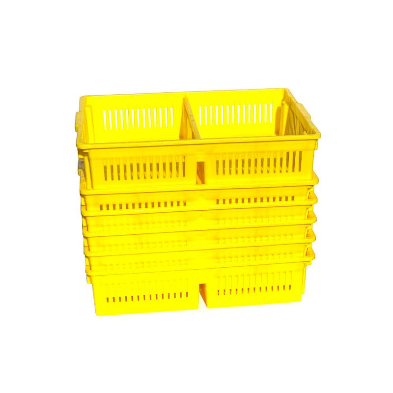Chick Basket with 2 Sections Stacked for Newborn Transport - Hatching Time