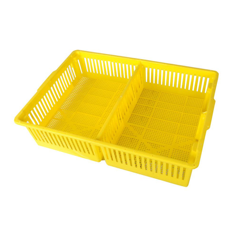 Chick Basket with 2 Sections for Newborn Transport - Hatching Time