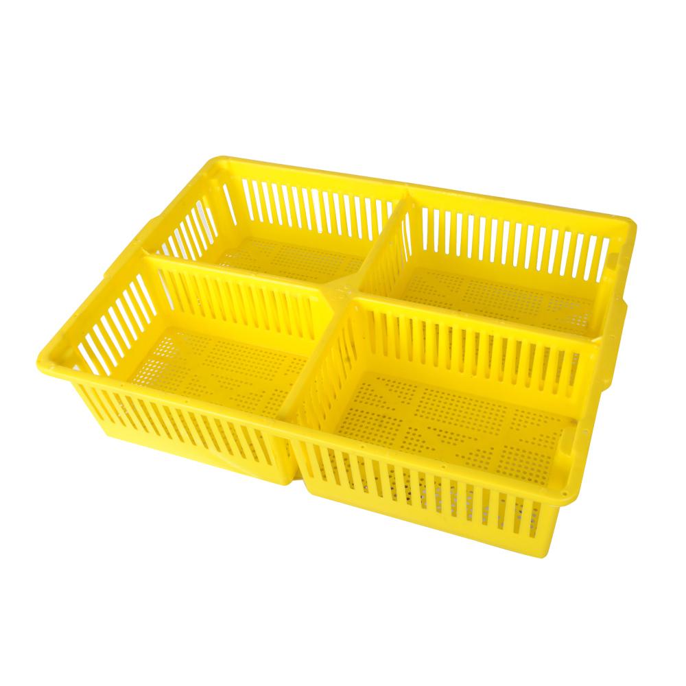 Chick Basket with 4 Sections for Newborn Transport - Hatching Time