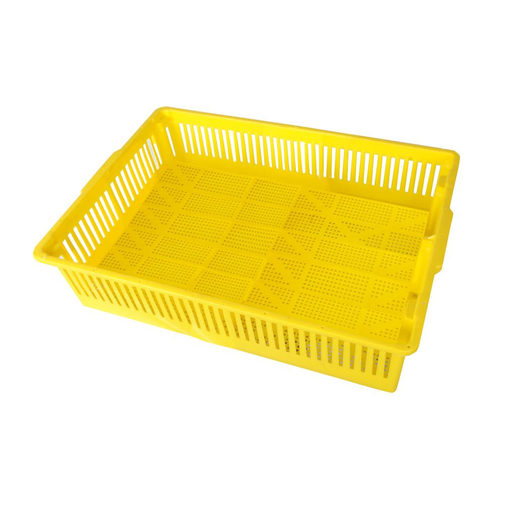 100 Count Chick Basket for Newborn Transport - Hatching Time