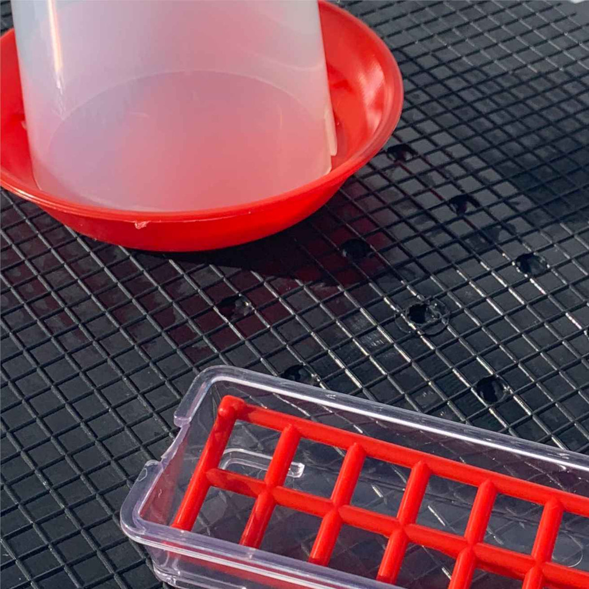 Drinker Cup with Feeder and Mat - Hatching Time