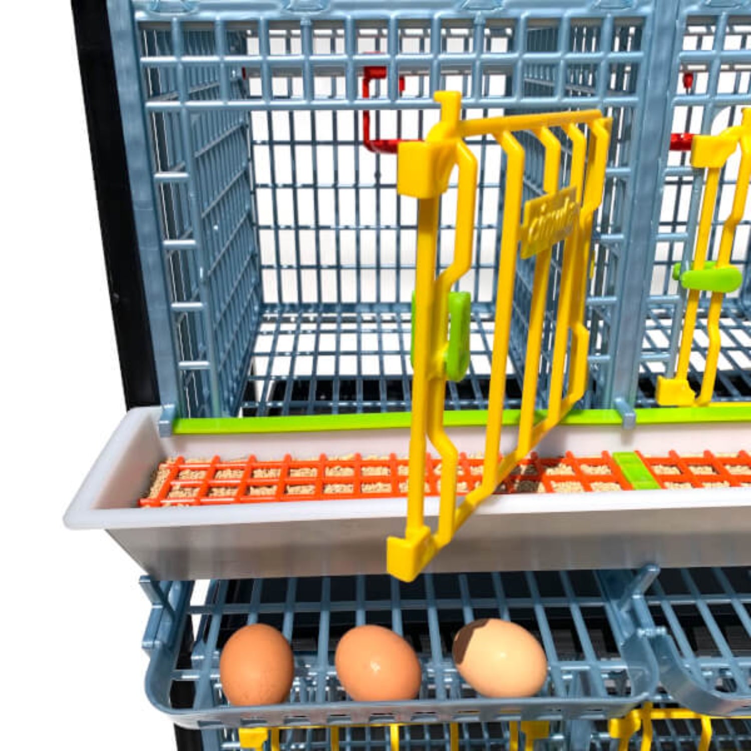 Hatching Time Cimuka. TYK40 15” Chicken cage 1 layer. Image shows chicken cage from front with door open. Full feeding trough with smart feeder can be seen on front. 3 eggs in roll out egg trays can be seen for easy egg collection.