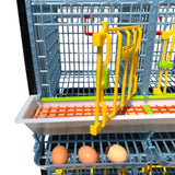 Hatching Time Cimuka. TYK40 15” Chicken cage 1 layer. Image shows chicken cage from front with door open. Full feeding trough with smart feeder can be seen on front. 3 eggs in roll out egg trays can be seen for easy egg collection.