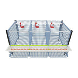 Hatching Time Cimuka. TYK40 15” Chicken cage 3 layer. Image shows chicken cage from front and above. Roof and front walls are removed to show inside of cage. Roll out egg trays can be seen on front under feeding trough. Automatic drinker system is seen on back wall of cage.