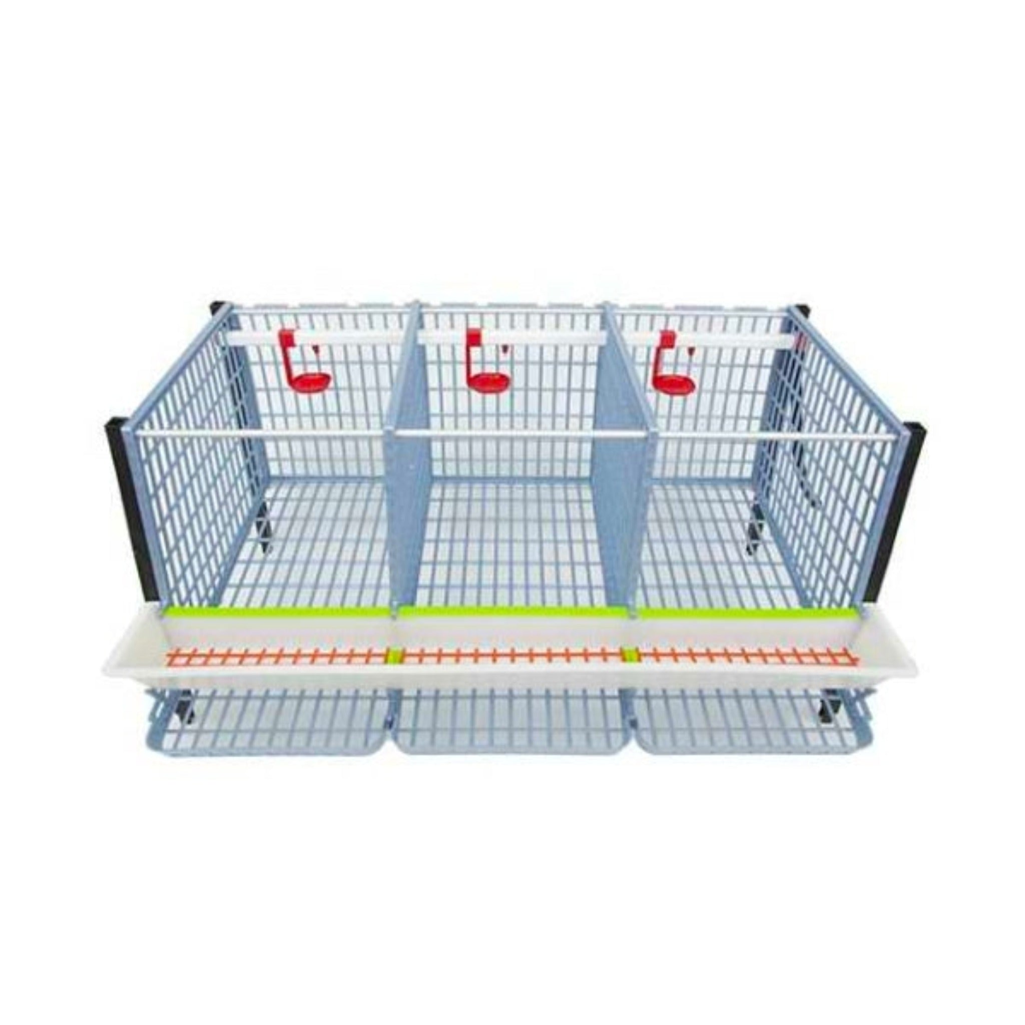 Hatching Time Cimuka. TYK40 15” Chicken cage 1 layer. Image shows chicken cage from front and above. Roof and front walls are removed to show inside of cage. Roll out egg trays can be seen on front under feeding trough. Automatic drinker system is seen on back wall of cage.
