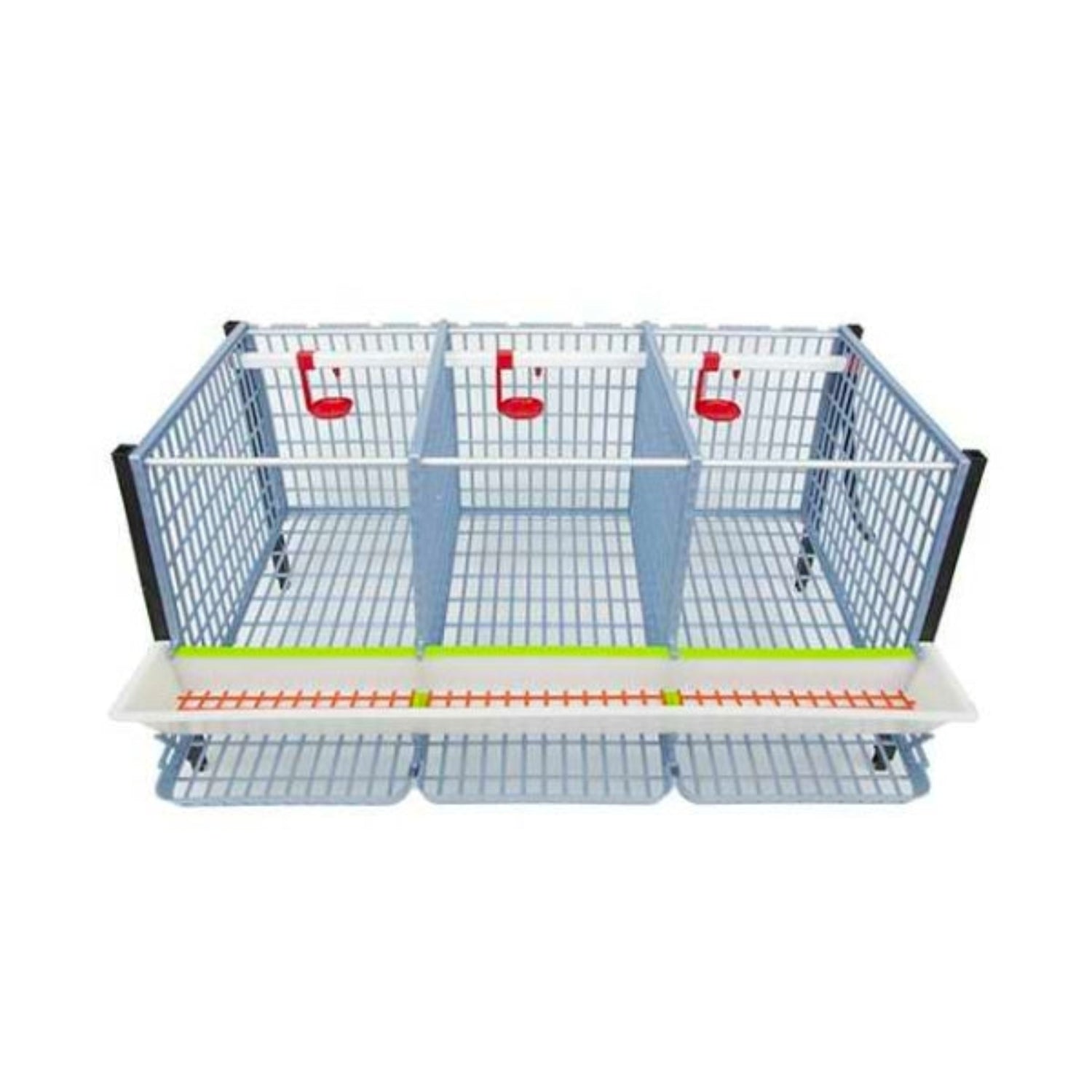 Hatching Time Cimuka. TYK40 15” Chicken cage 1 layer. Image shows chicken cage from front and above. Roof and front walls are removed to show inside of cage. Roll out egg trays can be seen on front under feeding trough. Automatic drinker system is seen on back wall of cage.