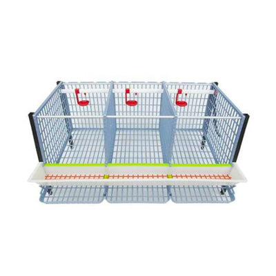 Overview of Chicken Cage 1 Layer 15 Inches Tall Cimuka Hatching Time TYK40-03-1K