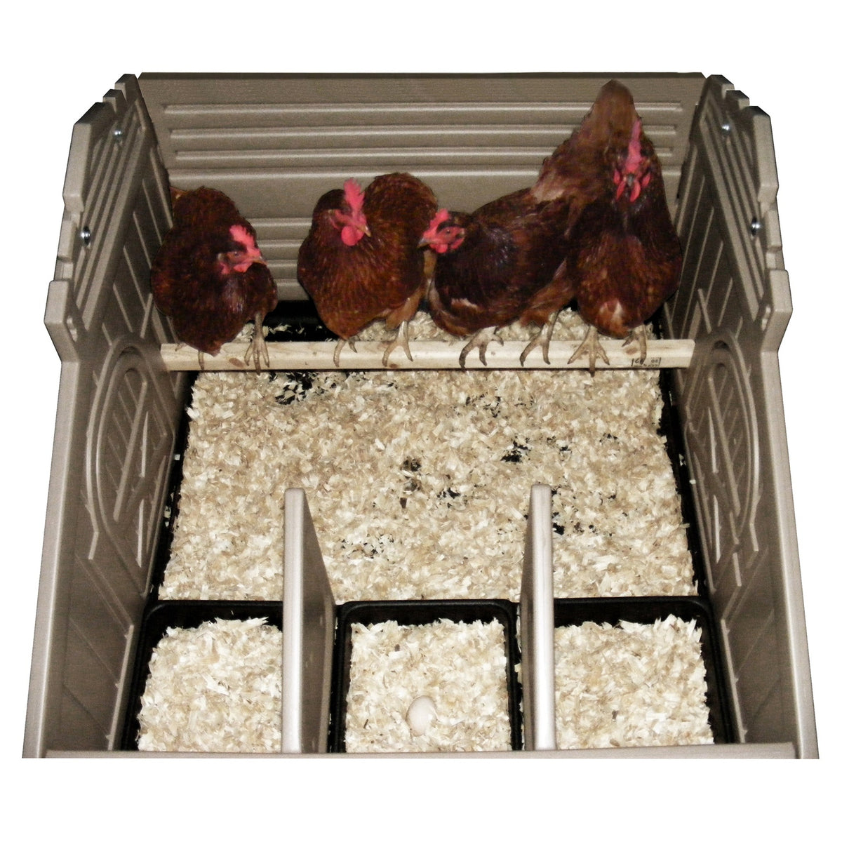 Standard Chicken Coop (4 Bird) Snaplock by Formex Hatching Time