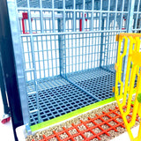 Hatching Time Cimuka GL40 15" Grow out Pen can be seen with door open to show open floor plan. Feeding trough can be seen on front of cage. Automatic Drinker system is attached to back wall for ease of access.